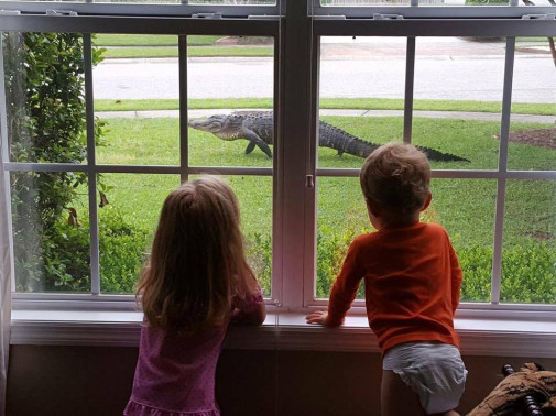 Florida?