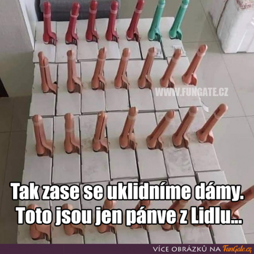 Príspevok 130199